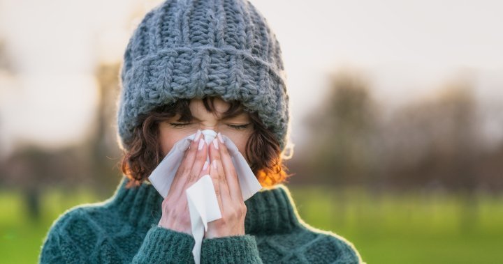 Cold and flu season: What can Canadians expect this year? – National